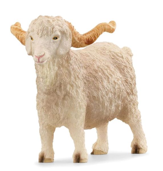 SHL13970 - Bouc Angora - 1