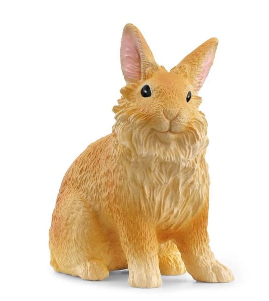 SHL13974 - Lapin tête de lion - 1