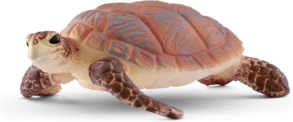 SHL14876 - Tortue de mer - 1