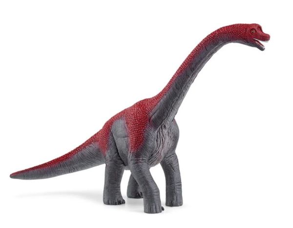 SHL15044 - Brachiosaure - 1