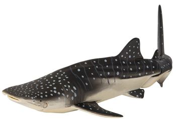 T16067 - Requin Baleine
